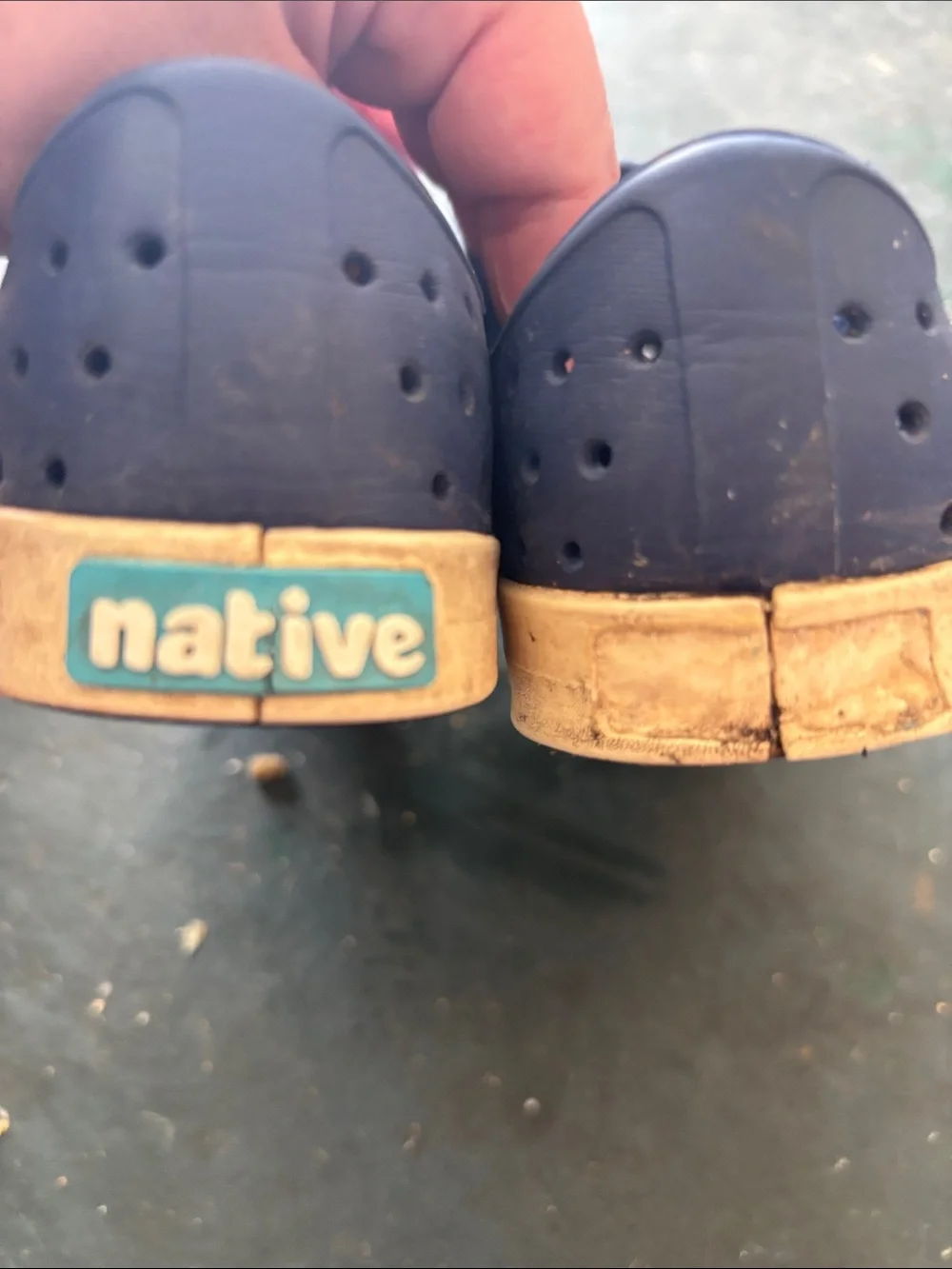Native Navy Slip-On Perforated Sneakers with White Toecaps